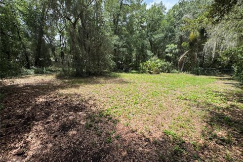 Land in DeLand, Florida № 2212916 - photo 8