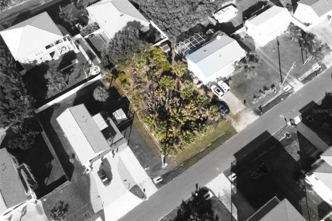 Terreno en venta en Palm Coast, Florida № 910518 - foto 5