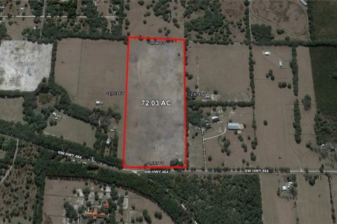 Terreno en venta en Morriston, Florida № 1866919 - foto 2