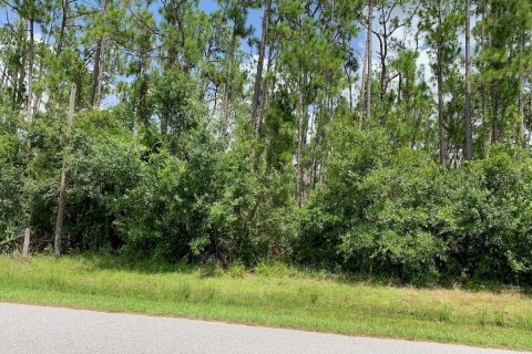Land in North Port, Florida № 1847808 - photo 3