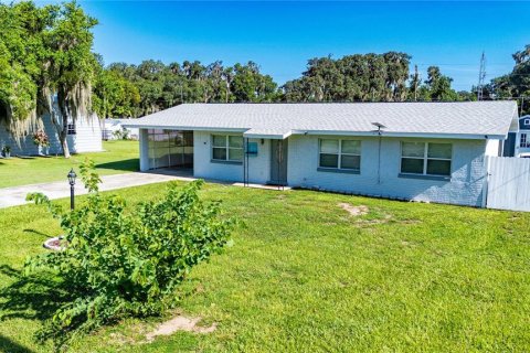 House in Lake Panasoffkee, Florida 2 bedrooms, 101.64 sq.m. № 2299840