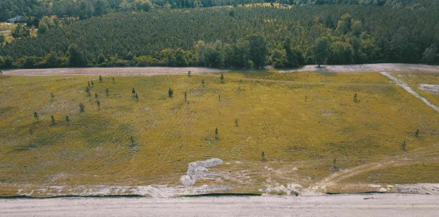 Land in Macclenny, Florida № 768316