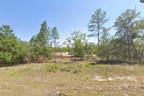 Land in Dunnellon, Florida № 2196675