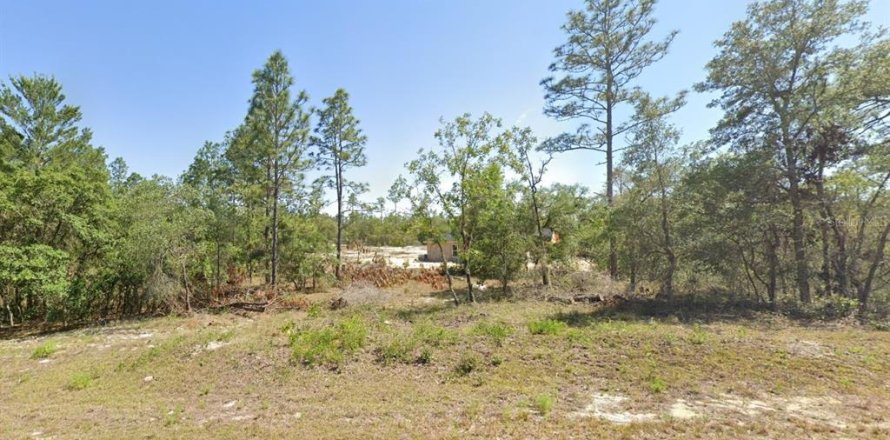 Land in Dunnellon, Florida № 2196675