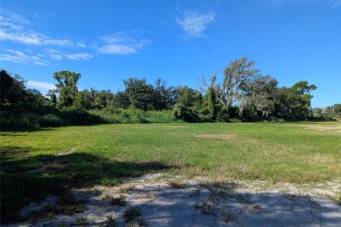 Terrain à vendre à Arcadia, Floride № 2330761 - photo 4