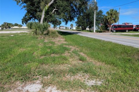 Terrain à vendre à Arcadia, Floride № 2330761 - photo 6