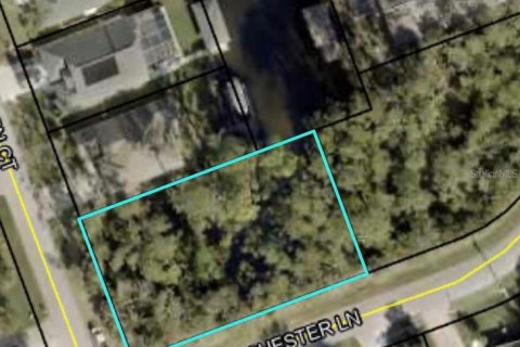 Land in Palm Coast, Florida № 2125734 - photo 3
