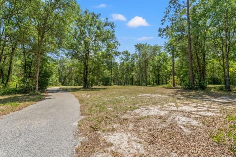 House in Brooksville, Florida 5 bedrooms, 289.48 sq.m. № 1725504 - photo 7