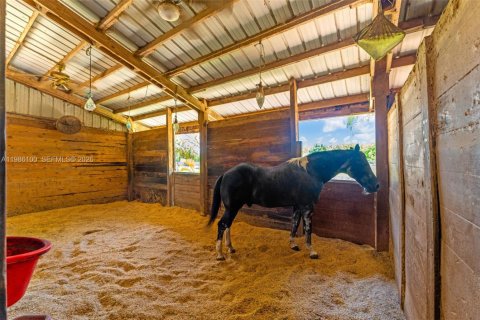 Immobilier commercial à vendre à Miami, Floride № 2048847 - photo 5