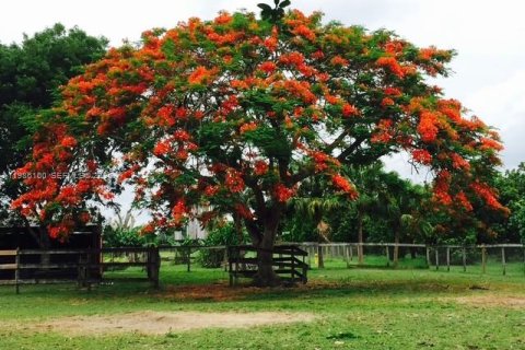 Immobilier commercial à vendre à Miami, Floride № 2048847 - photo 17