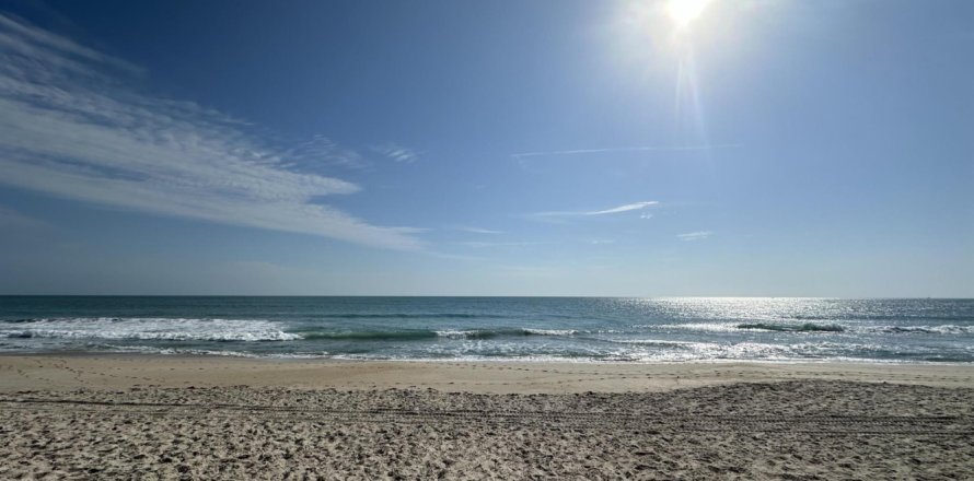 Condo à Hutchinson Island South, Floride, 2 chambres № 1133022