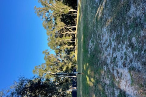 Land in Elkton, Florida № 859579 - photo 1