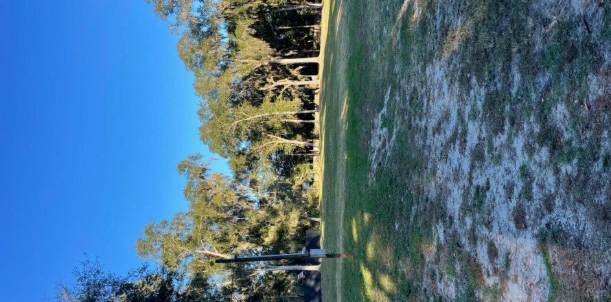 Land in Elkton, Florida № 859579