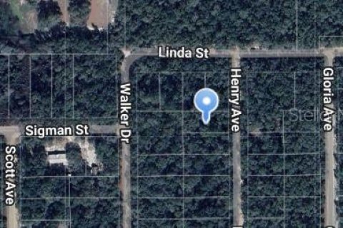Terrain à Interlachen, Floride № 2223902