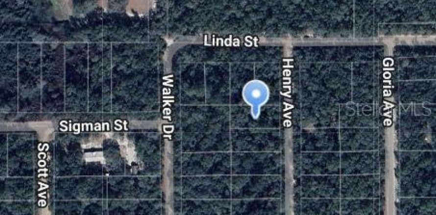 Terrain à Interlachen, Floride № 2223902