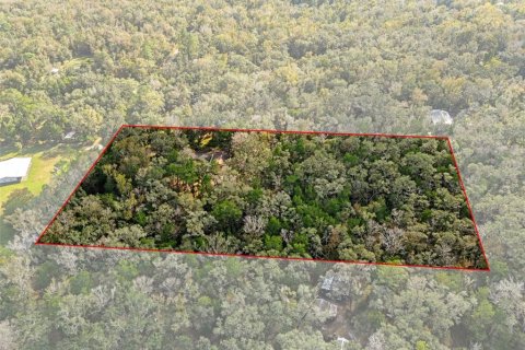 House in Brooksville, Florida 2 bedrooms, 212.56 sq.m. № 2217093 - photo 3
