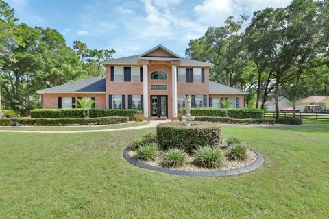 Villa ou maison à vendre à DeLand, Floride: 5 chambres, 350.8 m2 № 1783295 - photo 1