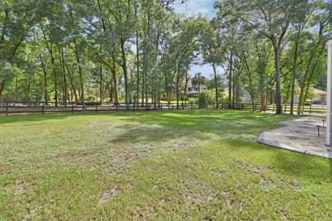 Villa ou maison à vendre à DeLand, Floride: 5 chambres, 350.8 m2 № 1783295 - photo 7