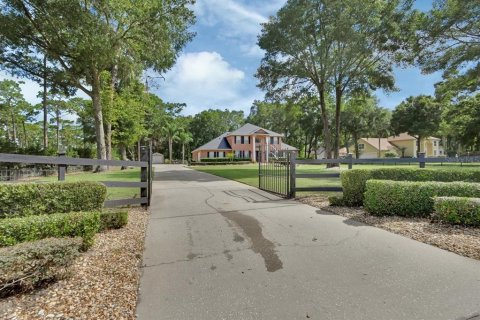 Villa ou maison à vendre à DeLand, Floride: 5 chambres, 350.8 m2 № 1783295 - photo 5