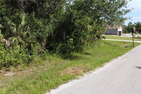 Land in Port Charlotte, Florida № 2161069 - photo 5