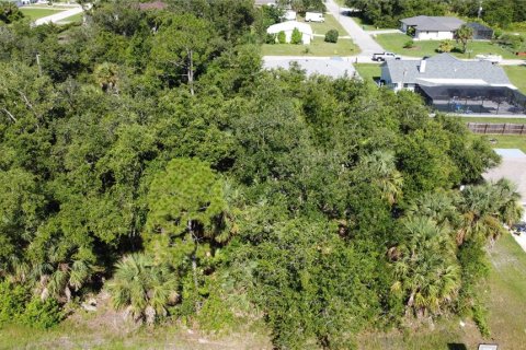 Land in Port Charlotte, Florida № 2161069 - photo 6