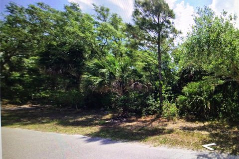 Land in Port Charlotte, Florida № 2161069