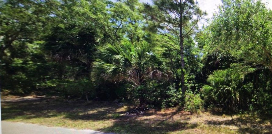 Land in Port Charlotte, Florida № 2161069