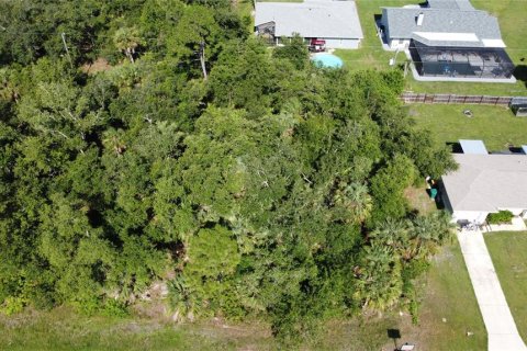 Land in Port Charlotte, Florida № 2161069 - photo 7