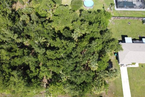 Land in Port Charlotte, Florida № 2161069 - photo 9