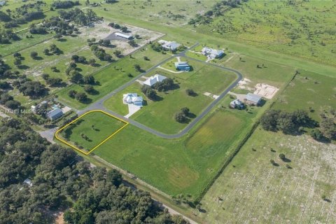 Terreno en venta en LaBelle, Florida № 1836750 - foto 9