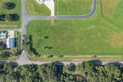 Terreno en venta en LaBelle, Florida № 1836750 - foto 8