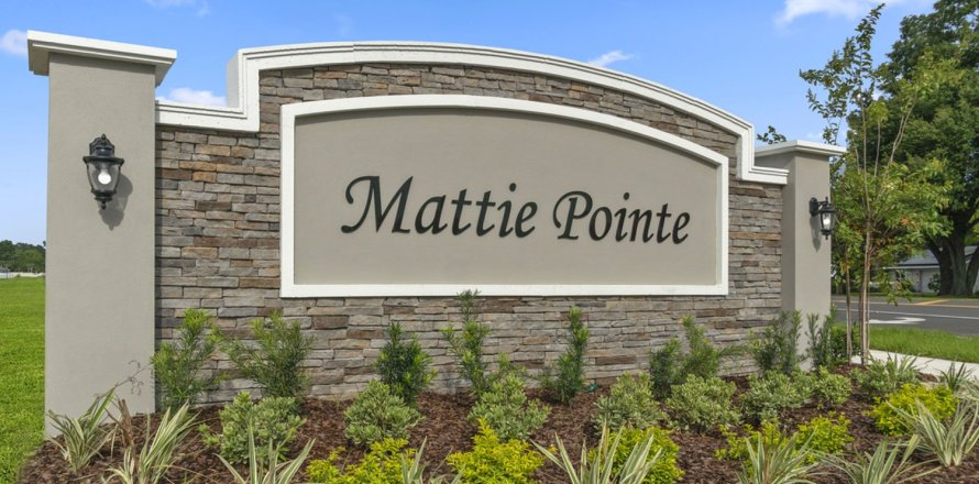 MATTIE POINTE sobre plano en Auburndale, Florida № 56352