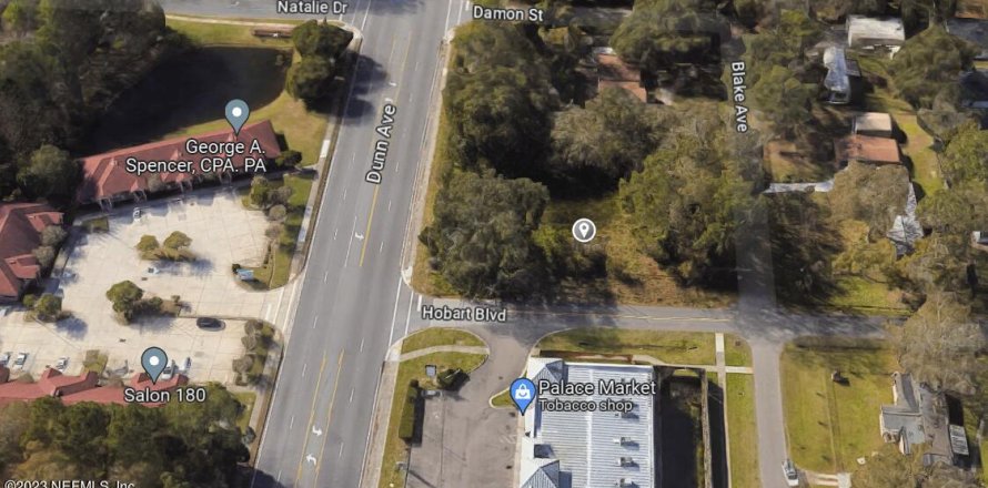 Land in Jacksonville, Florida № 838998