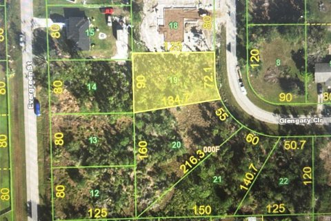 Land in Punta Gorda, Florida № 2159896 - photo 3