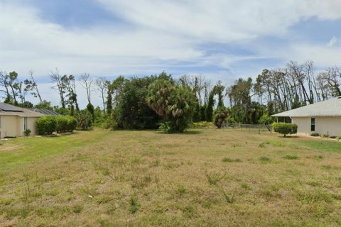 Terrain à vendre à Rotonda, Floride № 2238813 - photo 4