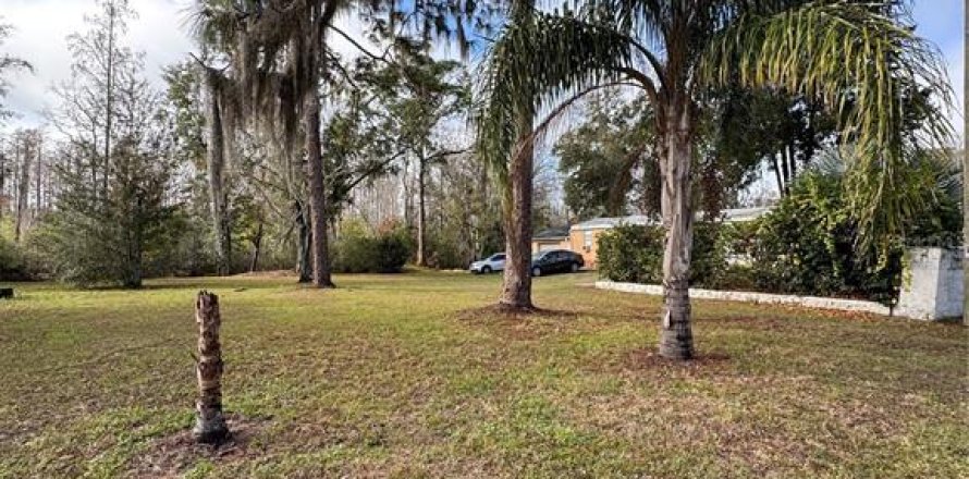 Terrain à New Port Richey, Floride № 2165079