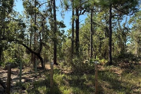 Terreno en venta en Weeki Wachee, Florida № 1912322 - foto 9