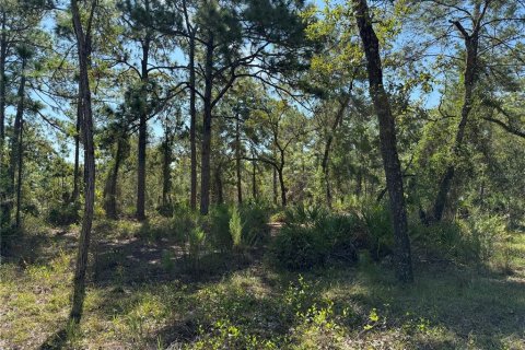 Terreno en venta en Weeki Wachee, Florida № 1912322 - foto 5
