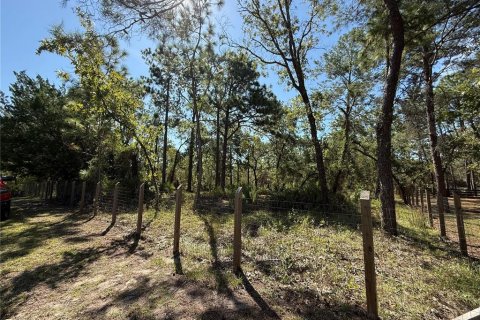 Terreno en venta en Weeki Wachee, Florida № 1912322 - foto 2