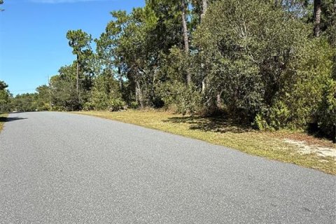 Terreno en venta en Weeki Wachee, Florida № 1912322 - foto 7