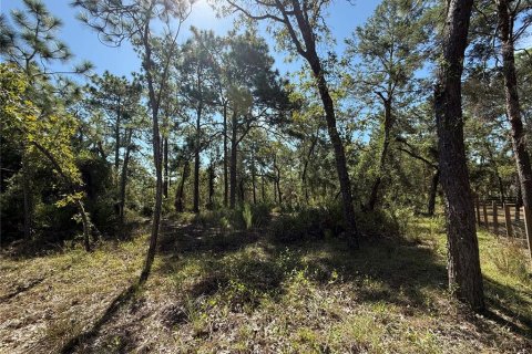 Terreno en venta en Weeki Wachee, Florida № 1912322 - foto 6