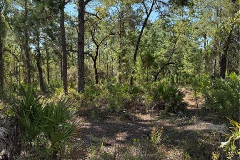 Terreno en venta en Weeki Wachee, Florida № 1912322 - foto 3