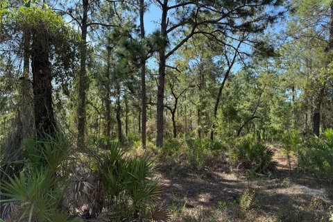 Terreno en venta en Weeki Wachee, Florida № 1912322 - foto 4