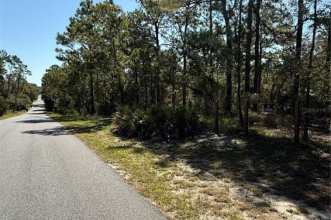 Terreno en venta en Weeki Wachee, Florida № 1912322 - foto 8