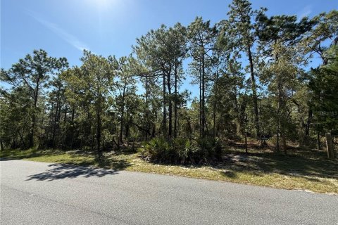 Terreno en venta en Weeki Wachee, Florida № 1912322 - foto 1