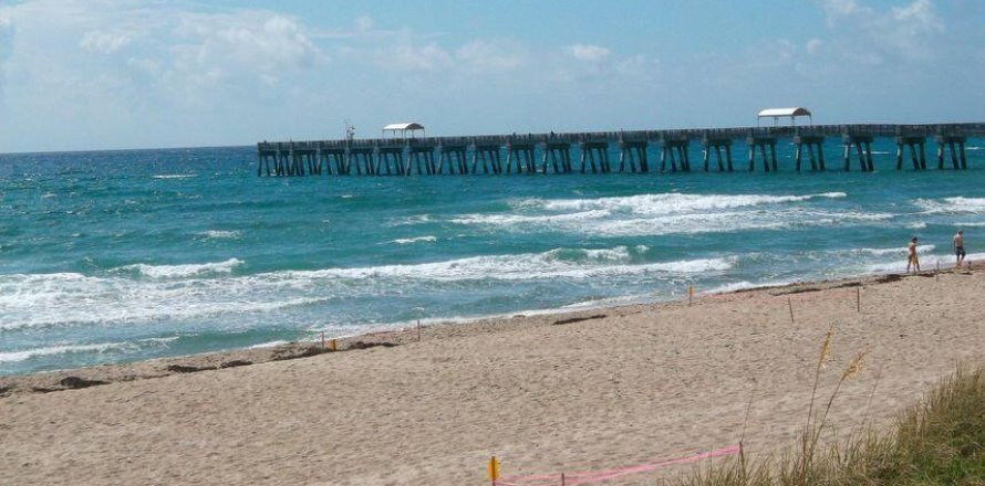 Condo in Lake Worth, Florida, 1 bedroom  № 1226713