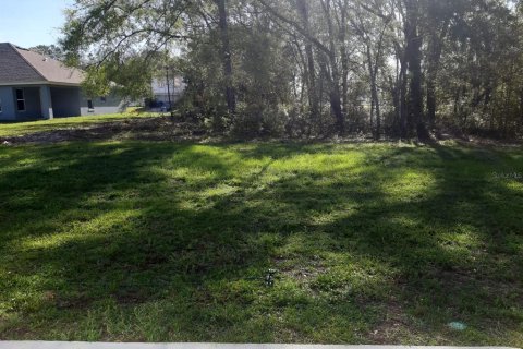 House in Ocala, Florida 4 bedrooms, 163.97 sq.m. № 1526645 - photo 19