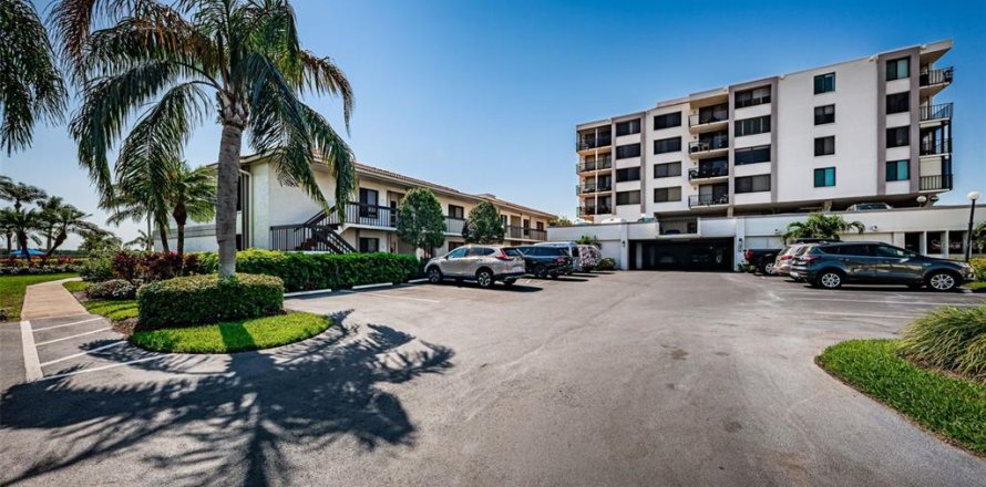 Condo à Saint Petersburg, Floride, 1 chambre № 791461