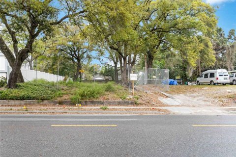 Land in Orlando, Florida № 1524783 - photo 3