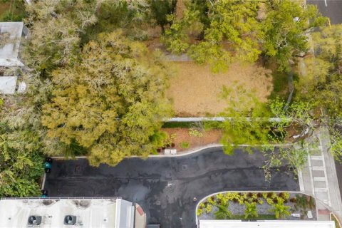 Land in Orlando, Florida № 1524783 - photo 24
